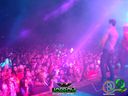 DSC08891.jpg
