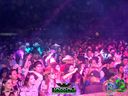 DSC08895.jpg