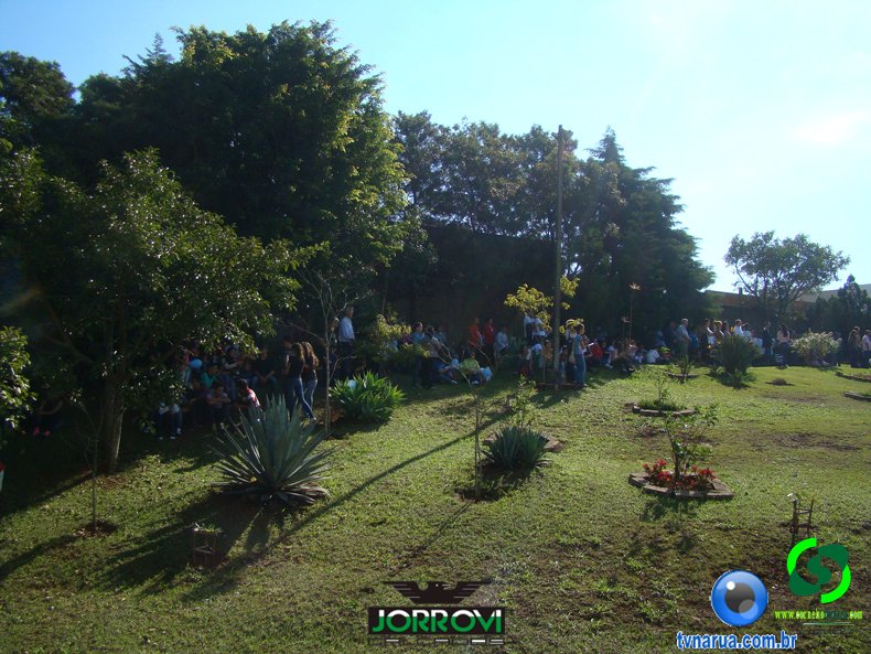 DSC00834.jpg