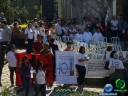 DSC00823.jpg