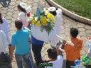DSC00825.jpg