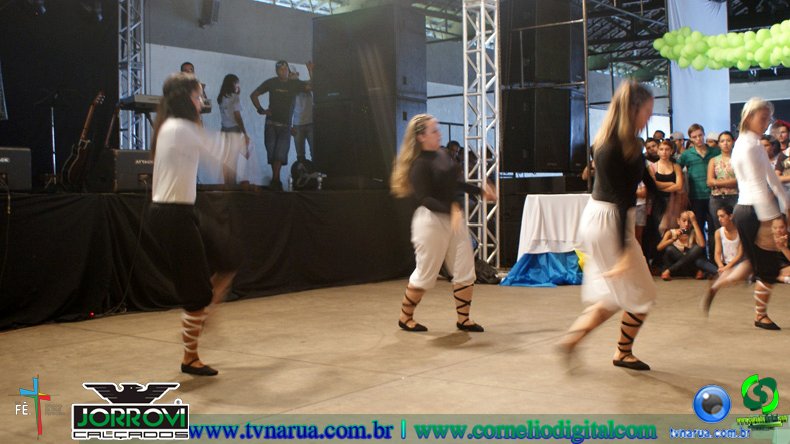 DSC08342.jpg