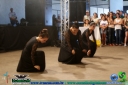 DSC08308.jpg