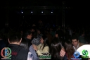 DSC08042.jpg