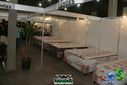 DSC03603.jpg