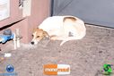 DSC09145.jpg
