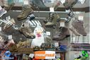 DSC09325.jpg