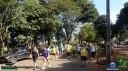 DSC02969.jpg
