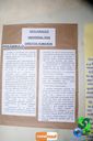 DSC03484.jpg