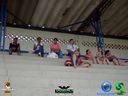 DSC02974.jpg