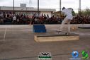 DSC09330.jpg