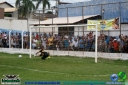 DSC08003.jpg
