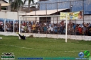 DSC08004.jpg