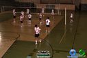 DSC04491.jpg