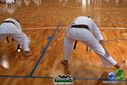 DSC04959.jpg