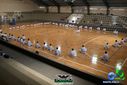 DSC04965.jpg