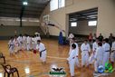 DSC05250.jpg