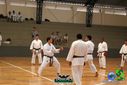 DSC05282.jpg