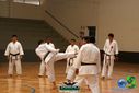 DSC05285.jpg