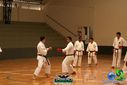 DSC05287.jpg