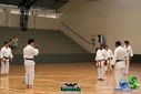 DSC05293.jpg