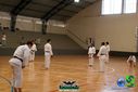 DSC05294.jpg