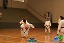 DSC05296.jpg