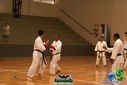 DSC05299.jpg