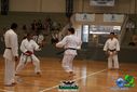 DSC05303.jpg