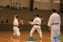 DSC05320.jpg