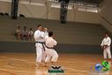 DSC05324.jpg