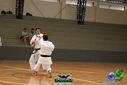 DSC05325.jpg