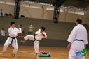 DSC05330.jpg