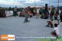 DSC08247.jpg