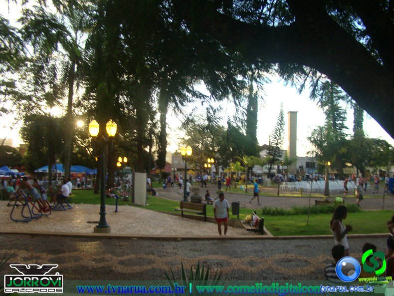 DSC00205.jpg