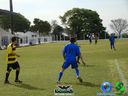 DSC00172.jpg