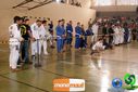 DSC01264.jpg