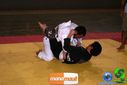 DSC01354.jpg