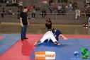 DSC01380.jpg