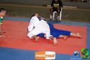 DSC01385.jpg