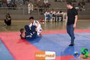 DSC01387.jpg