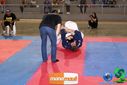 DSC01388.jpg