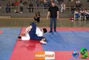 DSC01391.jpg