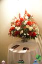 DSC08715.jpg