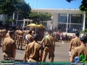 DSC09687.jpg