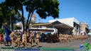 DSC09845.jpg