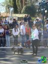 DSC01514.jpg