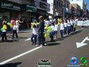 DSC02215.jpg
