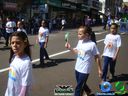 DSC02229.jpg