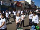 DSC02378.jpg